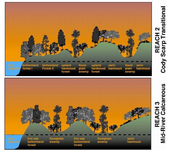 Middle Suwannee River Springs Restoration Plan Figure 38.