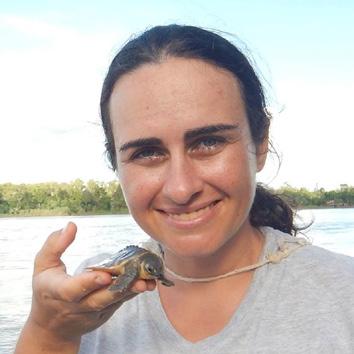 N. Fitzsimmons, A. Georges, C.J. Limpus, and D.R. Jerry. 2013. Contemporary genetic structure reflects historical drainage isolation in an Australian Snapping Turtle, Elseya albagula.