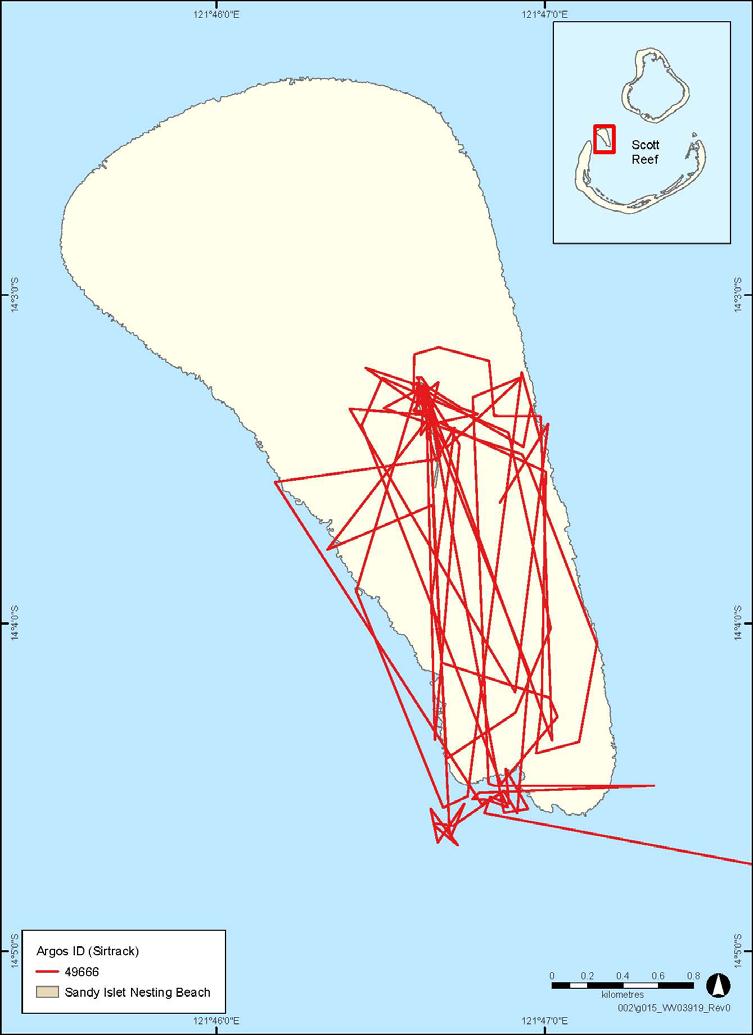 A B C D Figure 3 11: Inter nesting movements of four green turtles tracked from Sandy