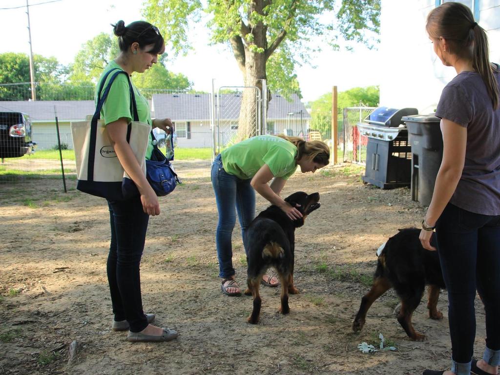 Community Outreach Strategic outreach Three types Proactive: door-to-door Reactive: word-of-mouth Spay/neuter
