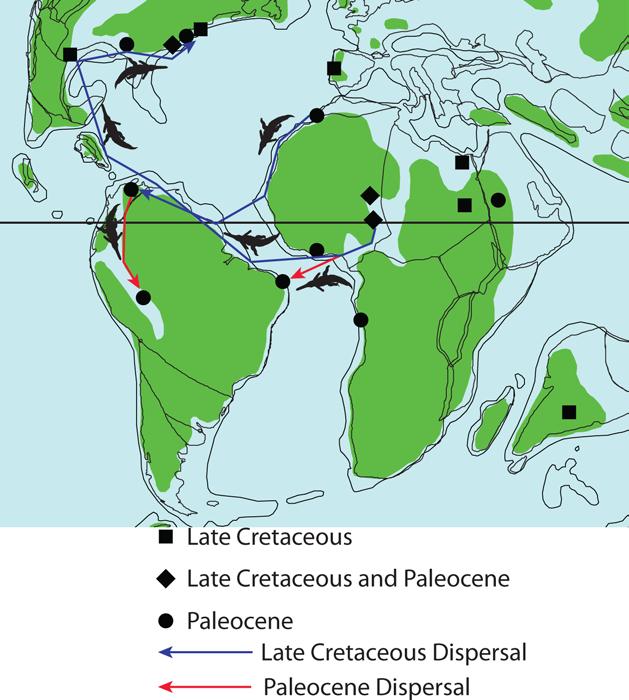 Figure 4-15. Map showing dispersal pattern and timing for Dyrosauridae.