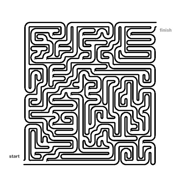 mosquito maze Can