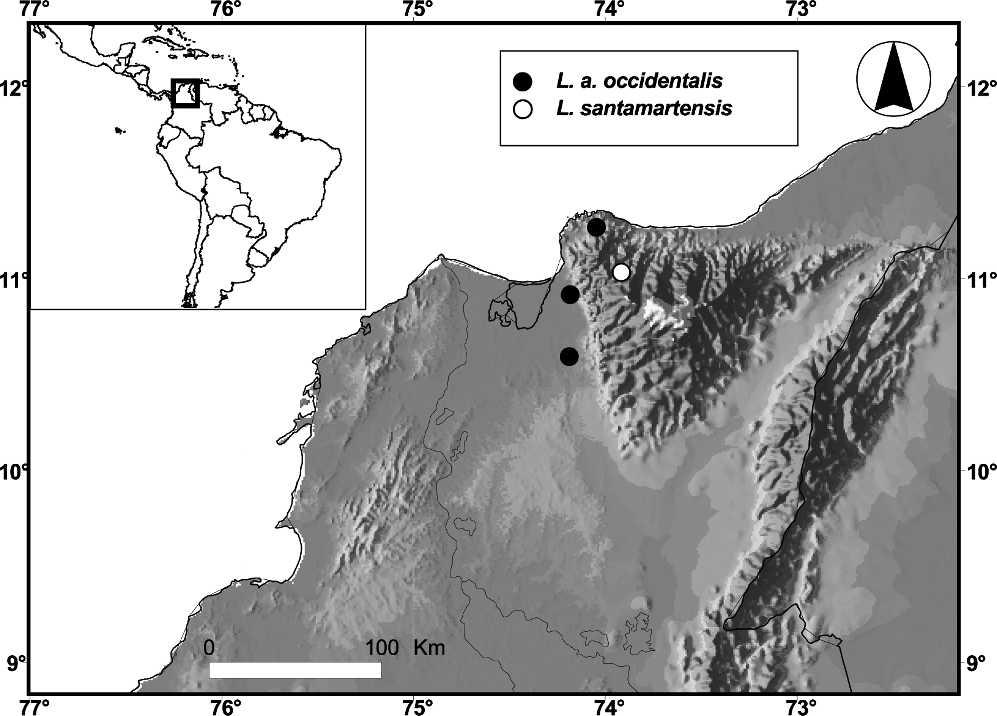 250 N. R. DE ALBUQUERQUE ET AL. FIG. 2. Geographical distribution of Leptophis ahaetulla occidentalis in SNSM.