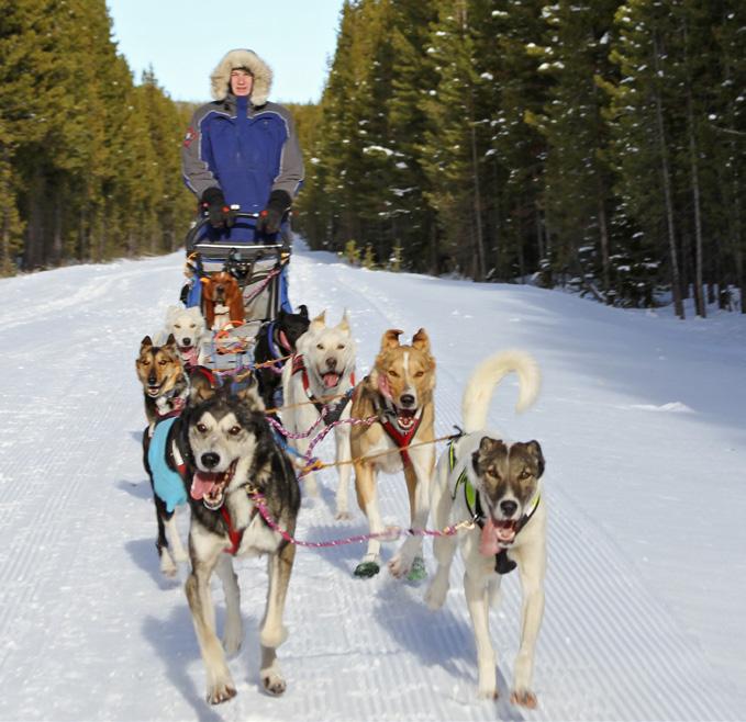 H I KE H I KE United as a Family Obviously, dogsledding is challenging and time-consuming. But Spencer says it has blessed his life in many ways, especially when it comes to his family.