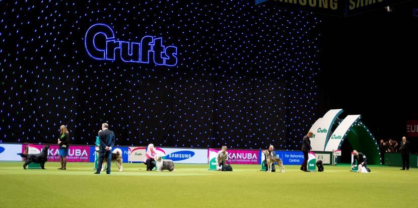 Crufts 2015 was an outstanding event with much for all dog people to be proud of.