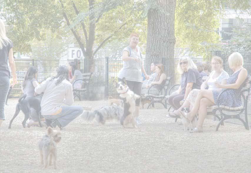 DRAFT PRINCIPLES Principle 3: Physical separation can create off leash areas that work for all.