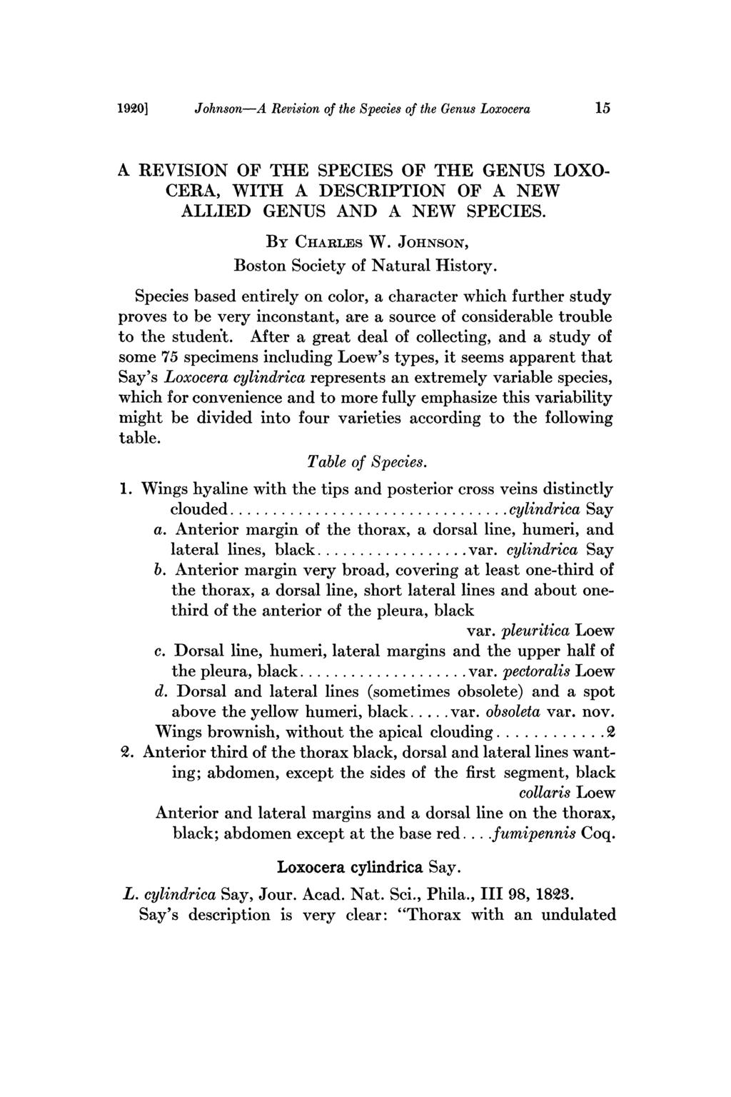 190] Johnson--A Revision of the Species of the Genus Loxocera 15 A REVISION OF THE SPECIES OF THE GENUS LOXO- CERA, WITI-I A DESCRIPTION OF A NEW ALLIED GENUS AND A NEW SPECIES. BY CttARLES W.
