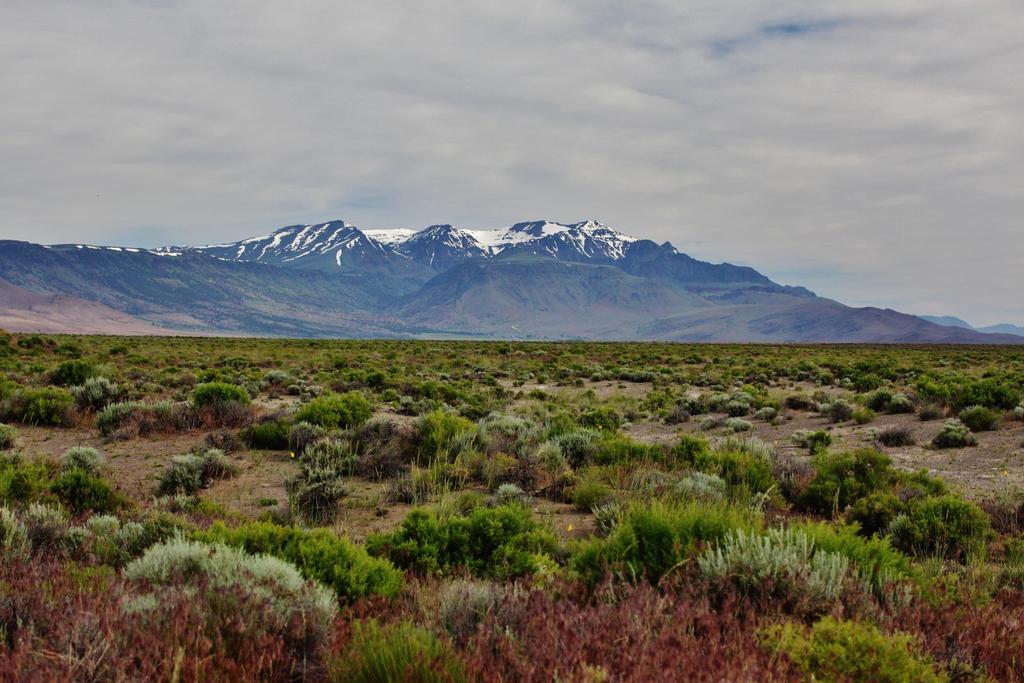 On plot, view northward of Alvord Basin, with Steens