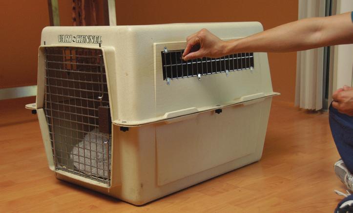 For some dogs, the pleasant association already established with the crate is enough to teach them to remain quiet and calm when left in it.