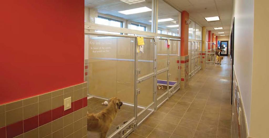 35B Maintain Critical Fear-Free Dimensions in Caging for Dogs Because dogs vary so much in size, the rules of thumb require discretion and interpretation from the hospital management team and the