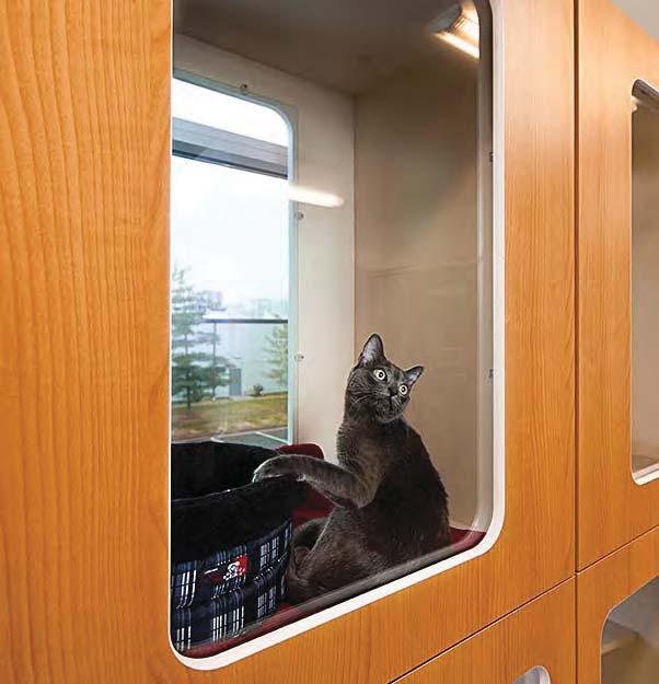 34 Fifty Percent of Cages with Views Outside Room Fear-Free hospitals should incorporate views out of cat wards into pleasant outdoor spaces or neutral indoor spaces such as utility or office areas