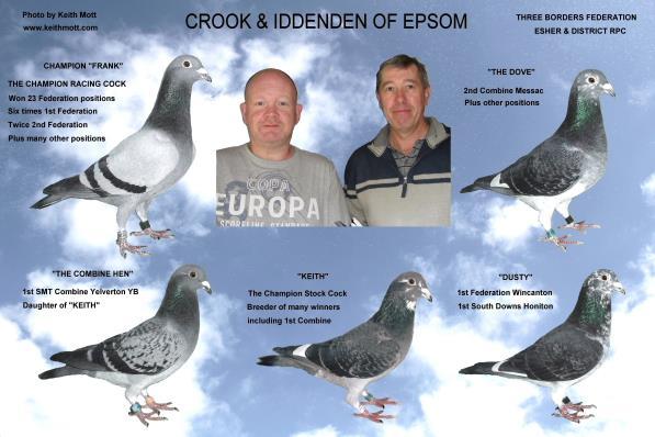 The Crook & Iddenden partnership only raced inland with the Esher club and their old bird positions won this season are: 5th, 6th, 7th, 8th, 13th Federation Exeter (1,217 birds), 1st, 2nd, 25th