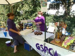 On the 9th September 2012 10am to 4pm the GSPCA will be organising a day to celebrate the animals in Guernsey and all the wonderful work that is done to care for them.