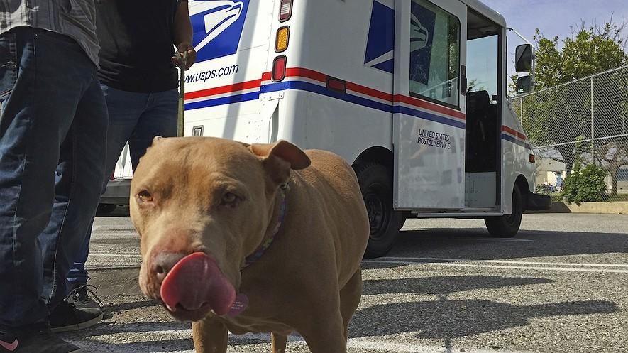 Mail carriers out to take bite out of crime committed by attacking dogs By Associated Press, adapted by Newsela staff on 04.12.17 Word Count 696 A pitbull named Lucy participates at the U.S.