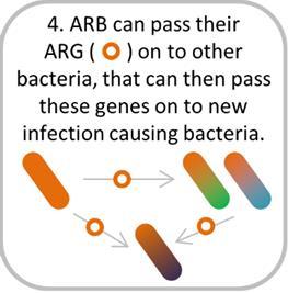 ARB: Antibiotic resistant bacteria.