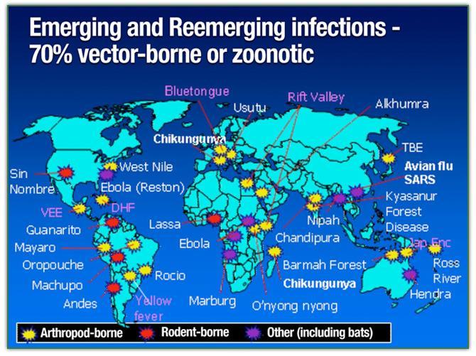 RATIONALE FOR WILDLIFE HEALTH SURVEILLANCE Emerging and Reemerging Diseases 75% of all emerging