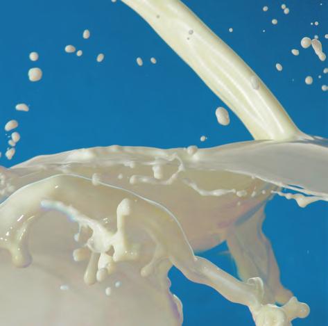 Multi-residue Automated Turbulent Flow Online LC-MS/MS Method for the Determination of Antibiotics in Milk Katerina Bousova, Klaus Mittendorf, Thermo Fisher Scientific Food Safety Response Center,