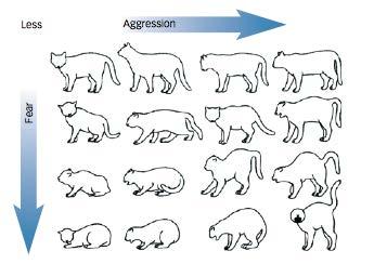 Figure 1. Interpreting a cat s body posture. Figure 2.