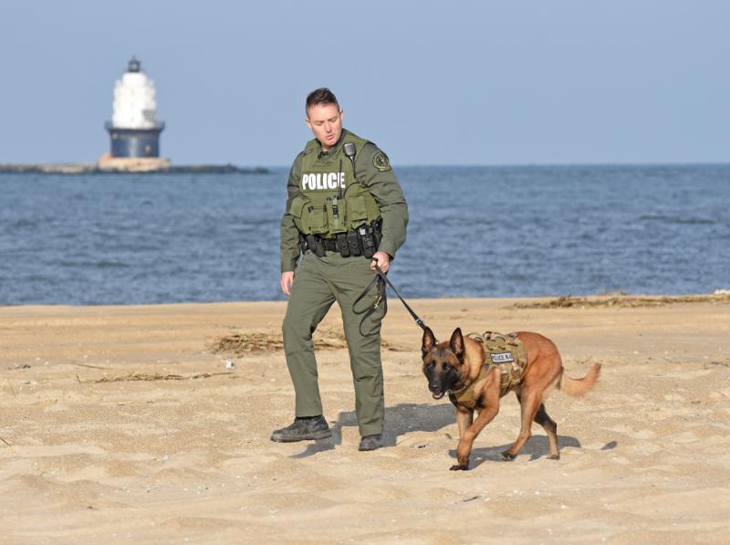 From: The Cape Gazette, January 8, 2019 by Nick Roth (Scroll to the last page to see a nice mention of BHAD) https://www.capegazette.com/article/video-k-9-reports-duty-cape-henlopen-statepark/171683#.