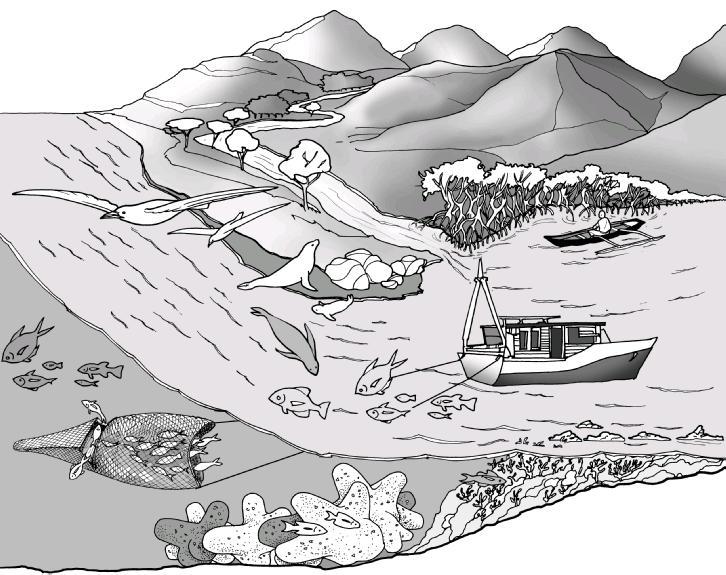 Advancing an Ecosystem Approach to Fisheries Uses quantitative indicators