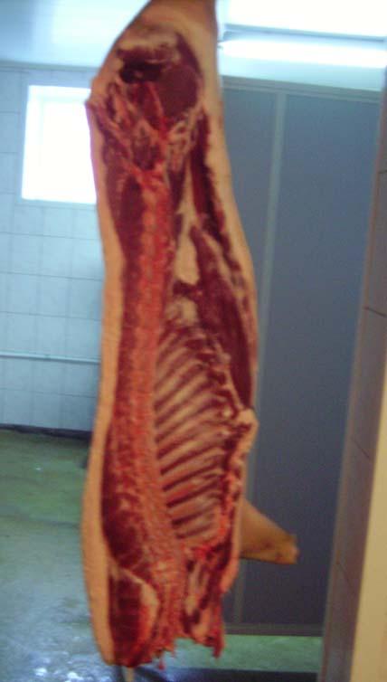 Carcass related traits by gender Entire boars Castrates Live weight, kg Dressing percentage,% Carcass cooling loss,% 10 rib