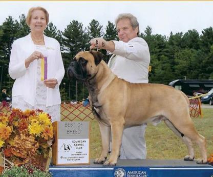 She is now GCH TR's Deja Blue Bi Walters Way And from Cyndi Bussey Annie ( CH Mariki Paedeia's Dreamboat Annie At Mystic) finished her championship at the Ramapo Dog show on October 13, under judge