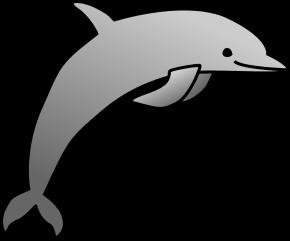 Habitat Most dolphins swim in the warm waters near
