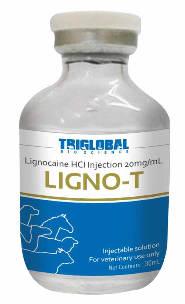 LIGNO-T Lignocaine HCI Injection 20mg/mL Having emerged as a major