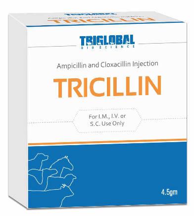 TRICILLIN+ (Ampicillin + Cloxacillin Injection) Pack: 4.