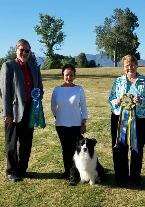 BRAGS, BRAGS & MORE BRAGS Had a banner weekend at Lake Matthews Kennel Club Shows and Trials.