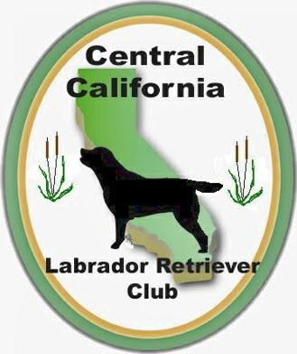 CENTRAL CALIFORNIA LABRADOR RETRIEVER CLUB To: Our Labrador Loving Friends From: Christine Tye Show Chairman, Pat Collom Show Co-Chair Patty Gallagher President Re: CCLRC Shamrock Specialty We are