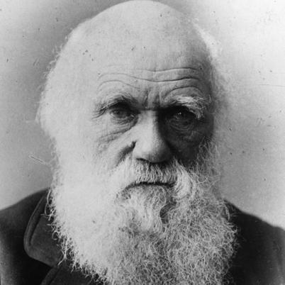 IA. Introduction Why is Charles Darwin so important? Concluded that organisms changed over time to better survive in their specific environments.