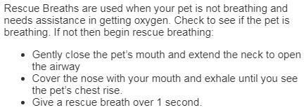 ABCs of CPR for Dogs & Cats Airway: Breathing: Check Circulation: NOTE: If pulse is present,