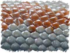 FEATHERS & REPTILE SCALES Scales on reptiles help to protect the animal, keep them warm, keep water in
