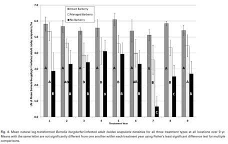 Long-term effects of Berberis thunbergii (Ranunculales: