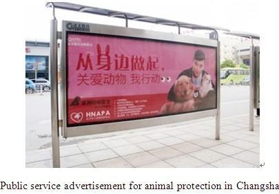 In Changsha of Hunan Province, we joined hands with Hu Nan Animal Protection Association (HNAPA) and released 40 public service advertisement boards for animal protection in 20