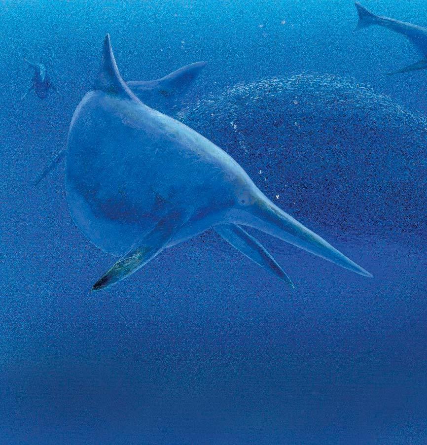 A group of Shonisaurus called a pod swims through the water.