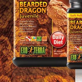 Soft Pellets Exo Terra Bearded Dragon food is a delicious reptile food, carefully formulated