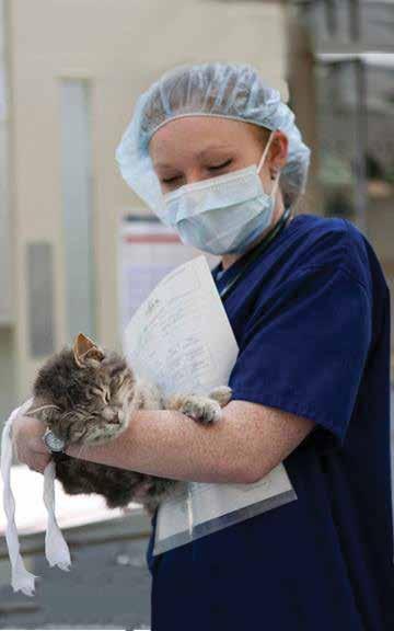 What is TNRM? Trap/Neuter/Return/Manage TNRM is the only humane and effective way to reduce the homeless cat population.