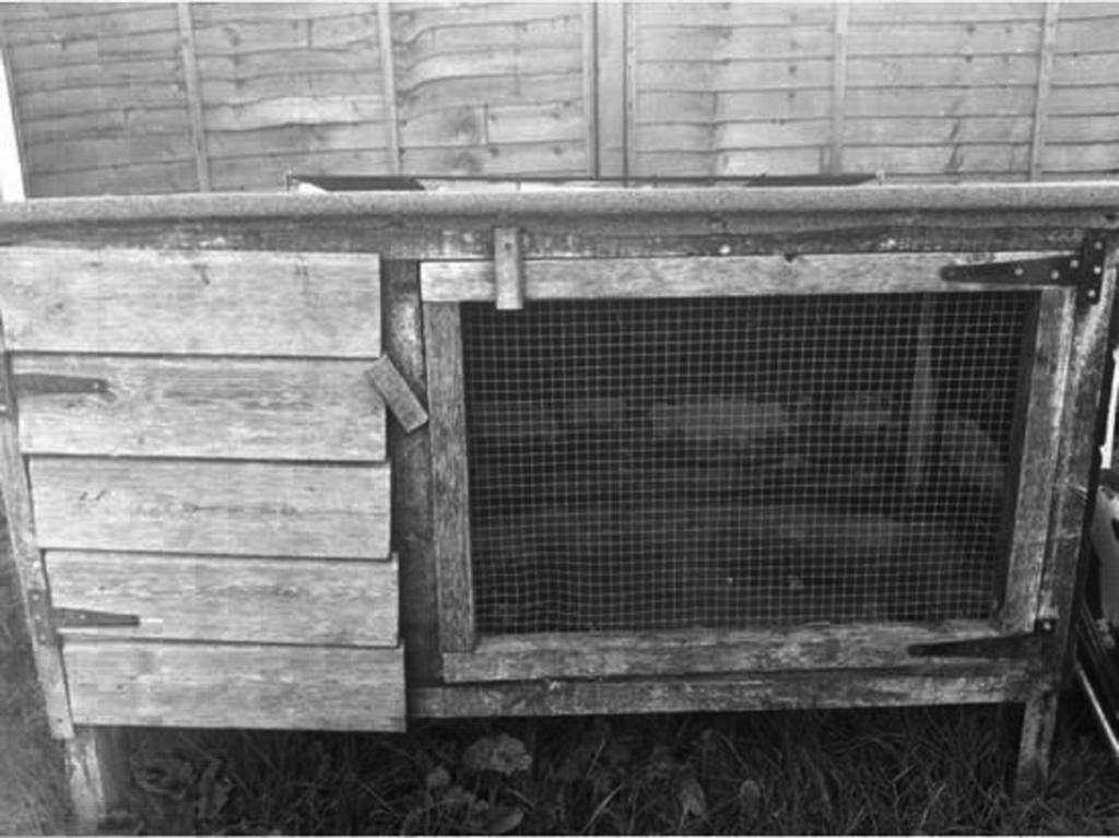 9 The photograph shows an example of poor housing for a rabbit.