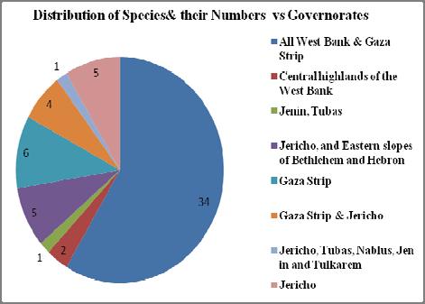 Fig 2: Distribution of Palestine herpetofauna Species in Genera and Families. The distribution limits between different species are not well studied.