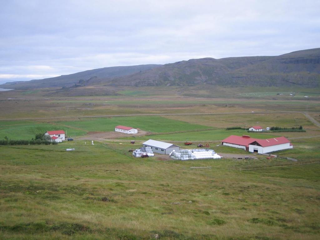 Sheep economy The sheep farming is currently in a crisis in Iceland Farmers