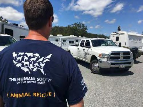 What does HSUS do to help animals in our communities? Check out our website at www.humanesociety.