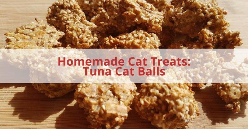 Homemade Cat Treats: Tuna Cat Balls I think all cats like fish, so I was excited to try this Tuna Homemade Cat Treats recipe on my cat.