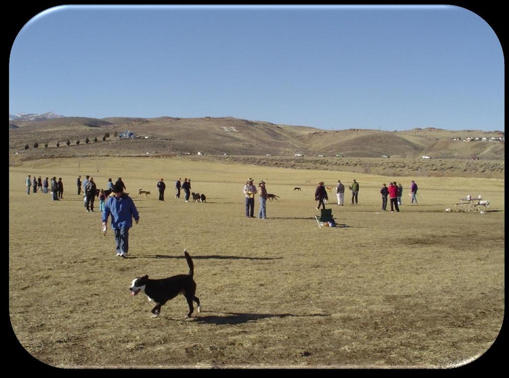 In Washoe County and the Cities of Reno and Sparks, also known as the Truckee Meadows, there are four areas designated as dog parks.