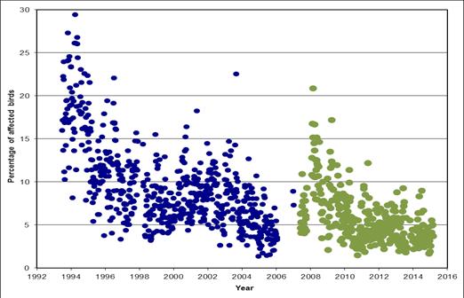 Animals that are not used for breeding are processed for meat consumption. Figure 2 shows the historical reduction in incidence of TD in the Ross 308 cross-breed based on Lixiscope measurement.