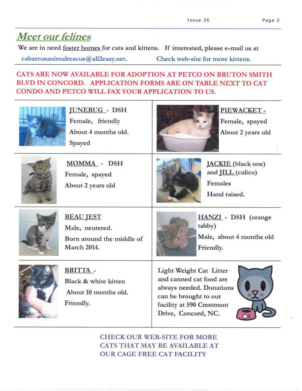 Issue 36 Page 3 Meet our felines We are in need foster homes for cats and kittens. If interested, please e-mail us at cabarrusanimalrescue@all2easy.net. Check web-site for more kittens.