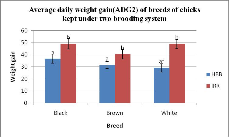 Figure4. Graph indicating Week 4 weight gain of However, starting from the scond week of brooding the average daily gain of chickens under hay box brooder bcome vary by a significant range.