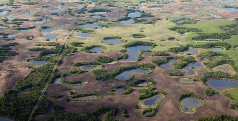 Prairie Canada ALBERTA Although the late spring was wet in southern areas, and dry in central and northern areas, most of the province experienced average to well-aboveaverage rainfall in June.