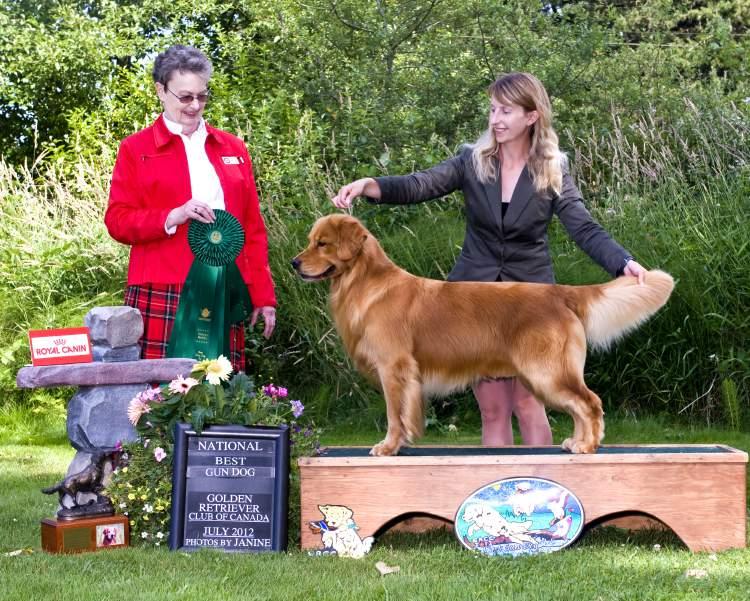 2012 was another big year for the Western Canadian Goldens, as the GRCC National was once more held in Surrey, BC.